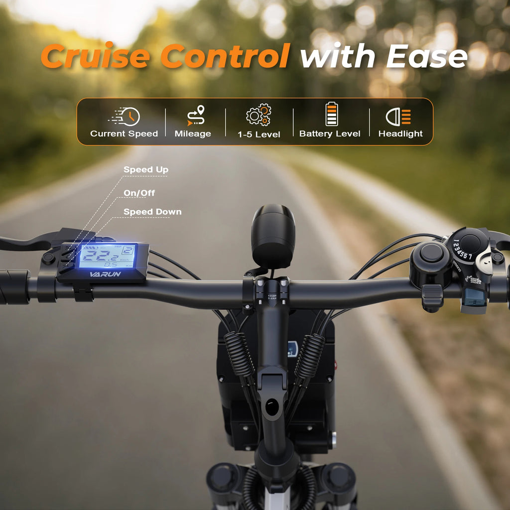 Varun M26-3 Pro 750W Electric Bike – 26"