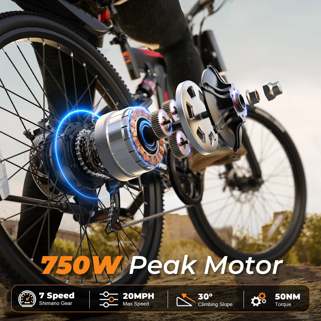 Varun M26-3 Pro 750W Electric Bike – 26"