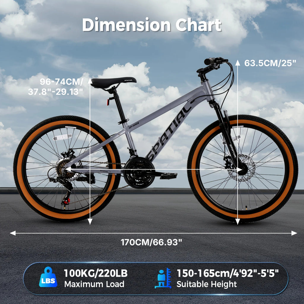 26” Fat Tire Suspension Mountain Bike