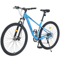 29” Dual Disc Suspension MTB